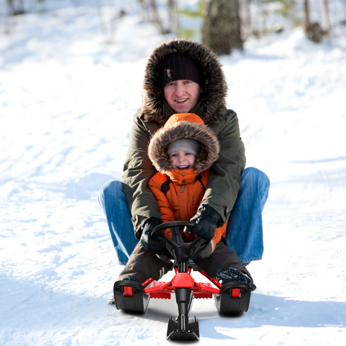 Skiing Ski Snowboard Snowmobile